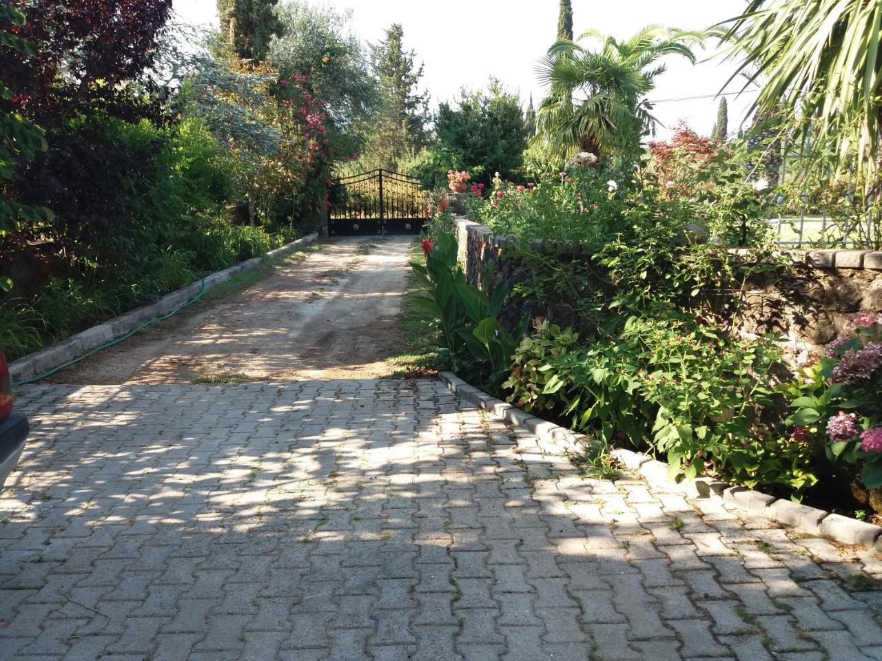 Villa Atalanti Gouvia Exterior photo